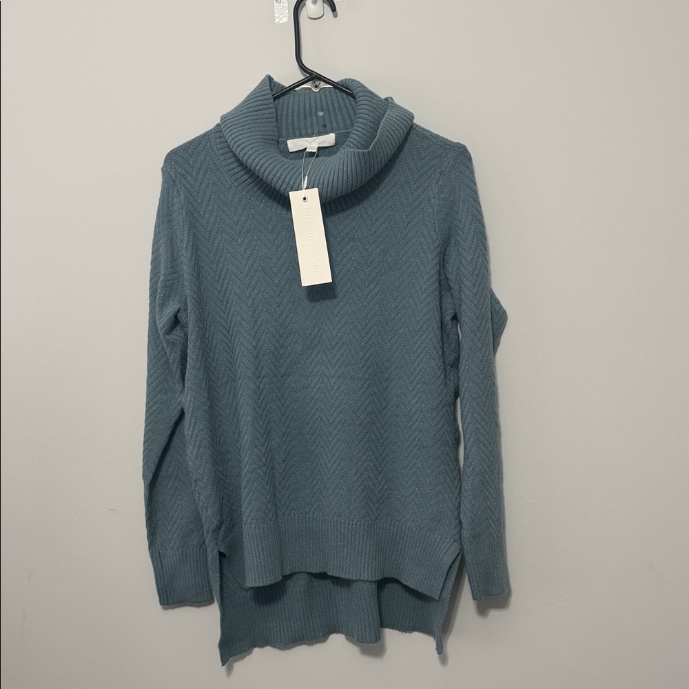 Adyson Parker Teal Turtleneck Sweater